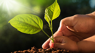 CmwM5Zgq7ymBuBIhTOXkkmgF3UFH0gHtWc6gfcLo