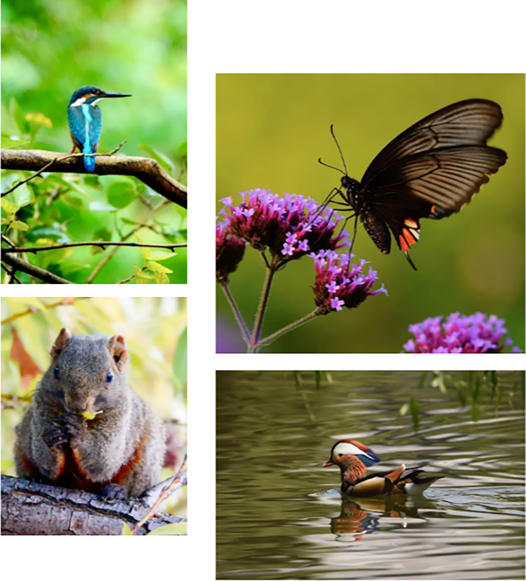 P6xgsI6Jlnf5Vbi2x3ctDO0Qgz3KdPEp7LllMKc5