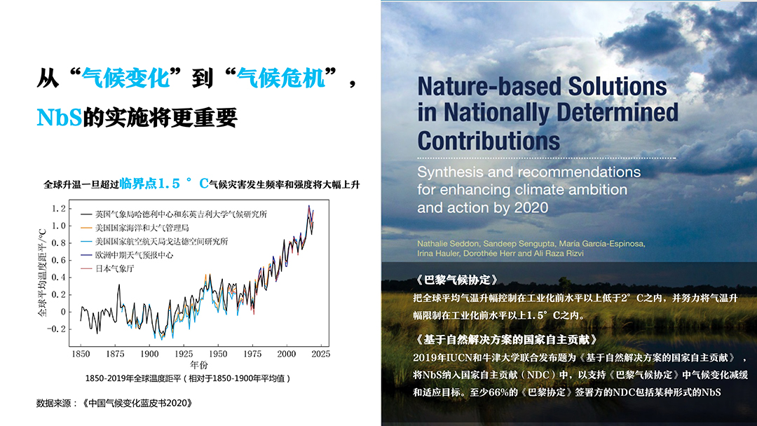 gObJjsSdPz73YT7RLswSABRl6HMmF3BJ0NGMNogi