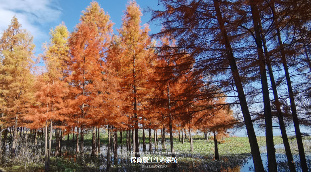 7ITcKyltUXAxPMa7qIKQgeFSufyZs9AlW3pTwvaE