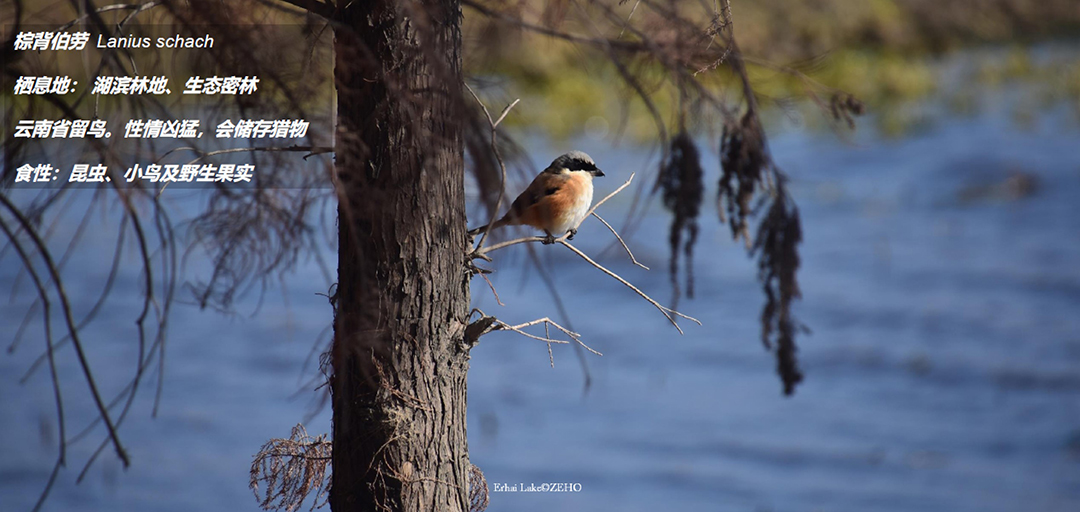 GiUQVkcnr3CkTn05oVQBa7uTdxzBbXvQ8aJnRZaj