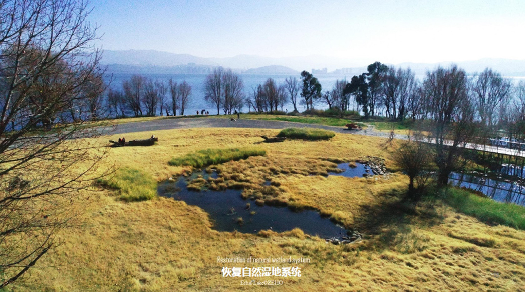 QTvY9TbQzdHs0V0EsQoNjqywxdkM8wnBX2AYLnwH