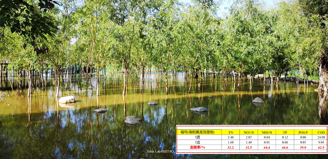 b7TDiy5z8YNrpByzKLmEBAiS9mcRQQRfrUqKouXd