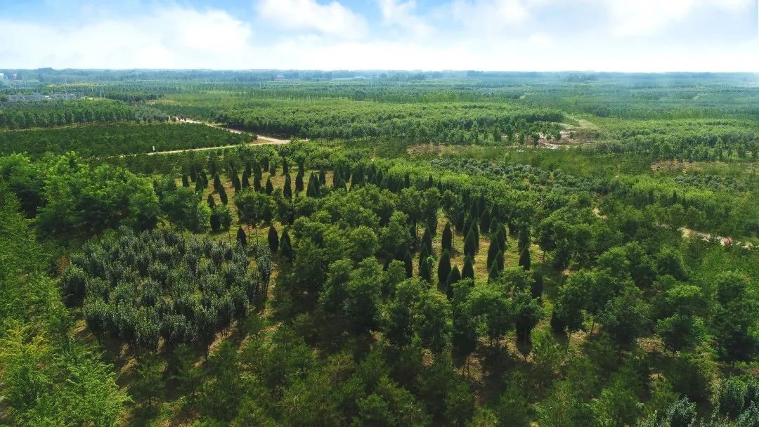 09y7SFAmTGxQOR490s76ad2K58km7Q9pJ42POxUC