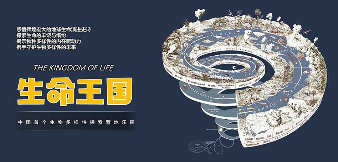 b6B3idvrqd6nI0mdvDatzi0ZRykX2EZT7plSEU5O