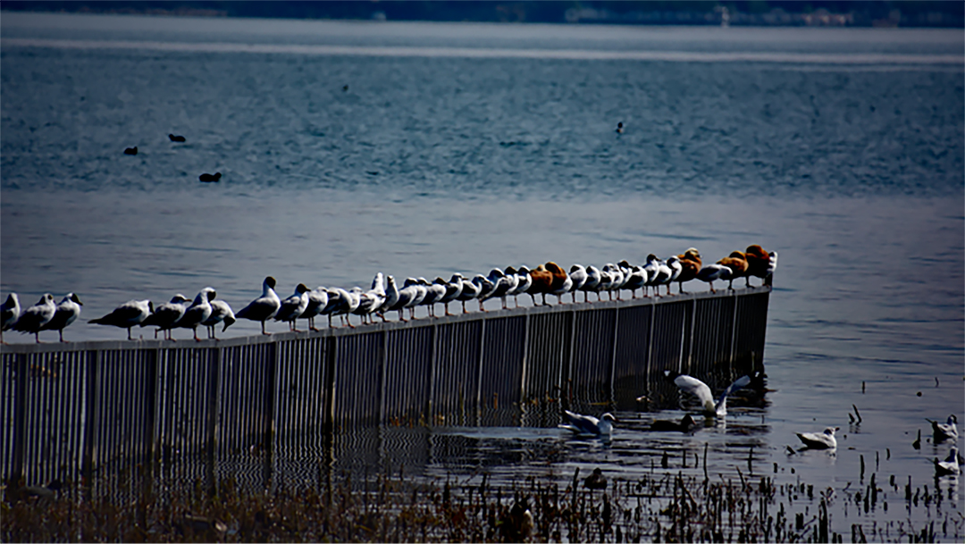 yxTVmfoQDVY71uwqrbfzi9XZmbaQ3yunreHOo1WO