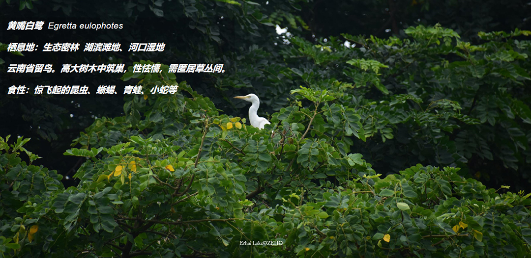 EOGhtUroPDdD87kYuG9V5MPE8nHV8wkOdXli7tqo