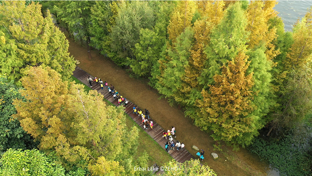 oCIKqiZTLI9wo9HyL39a0RaQjLugH03P0YJdLJ6P