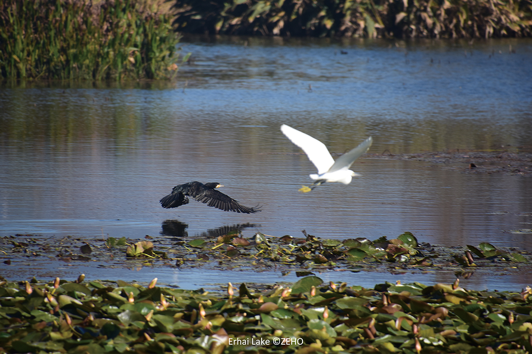 pk9RSeJr8pJcmAWzDzC438IMFGki1VOIEfJ7oFuo