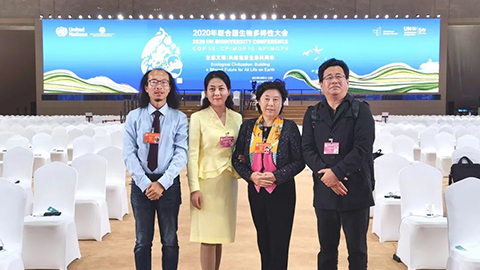 XfX0XaQbFu2sg7RyOggAaTSIuhm3xpu6ys8kacZU