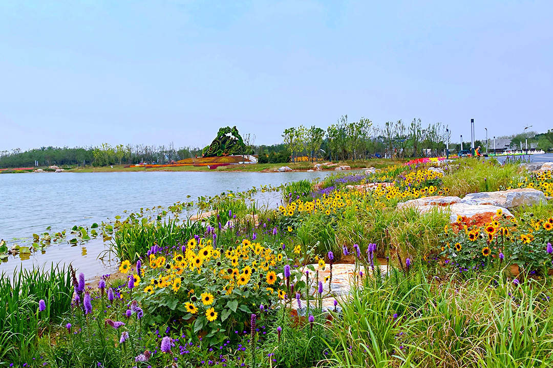 Bev1PGxaOa2tKqfDKpYf8CQIMLb1RoutjC0nl52s