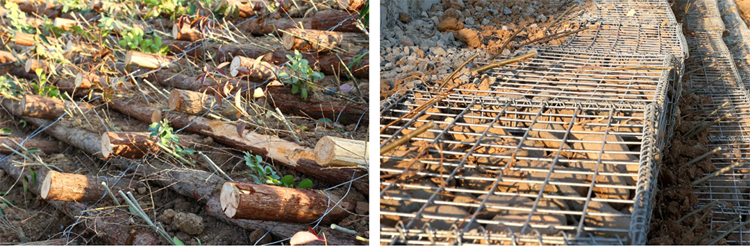 WschJgDlWn7cRh5v6x3K58MMFkCBZ313CCN1OY4U