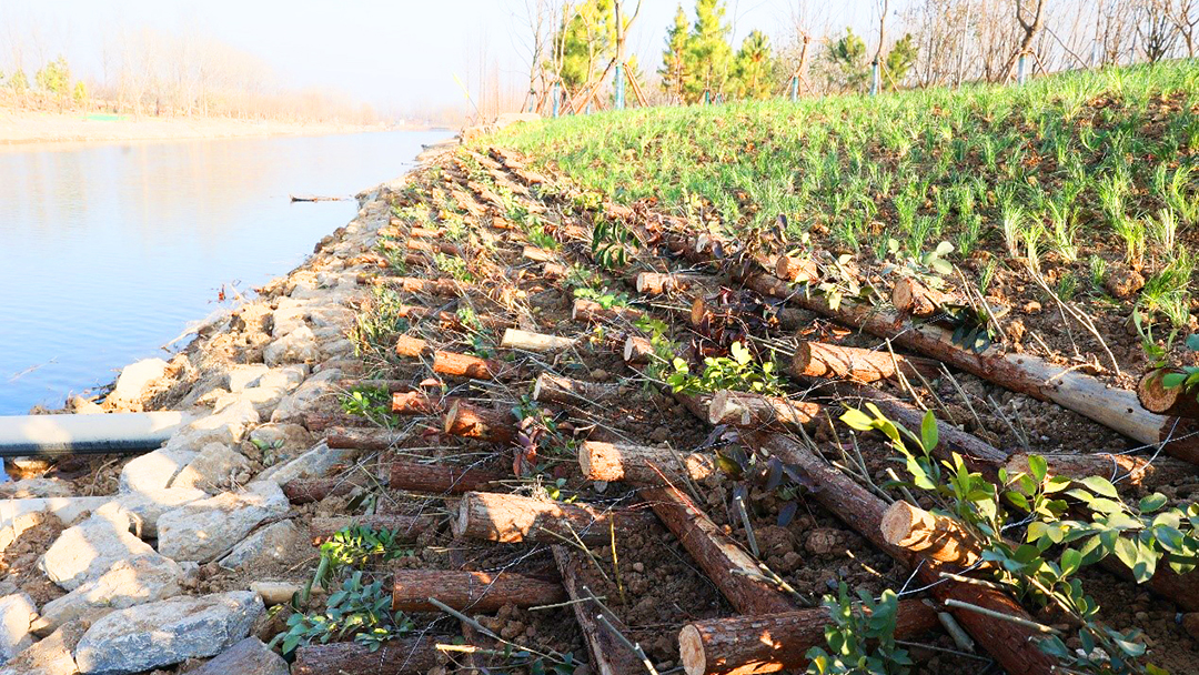 c3DU9zCkLbfJjtN49ANn7cE4W9hB5DSFPYluDRKY