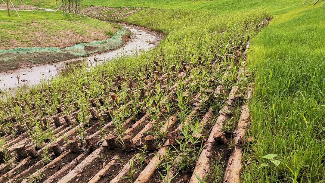 oqWGK19mUz1UuEtA4BsK7cpfWabSqng8L3me1oqe