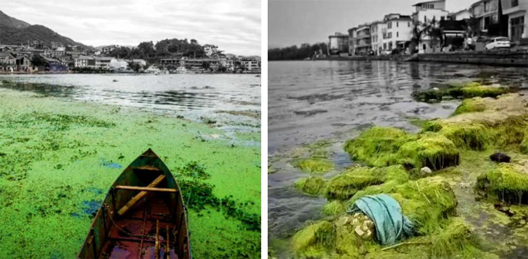 6PXVWbw5Y8XWVsbuT23z9kcgEqA15qu0GKw75dqp