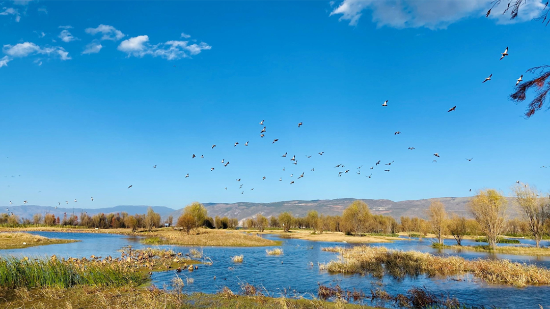 WJpKGYL8Jy7dox3MELXl7PJ03RNzwxGcjx9y3OO4