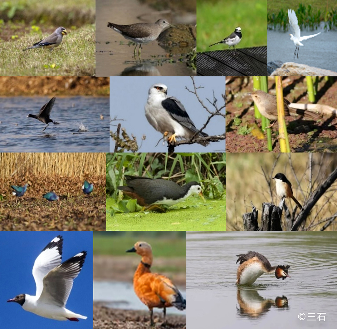 0vfKO5RKxuc9y3c17w2bjL38ivH8vDF4VPgokG5z