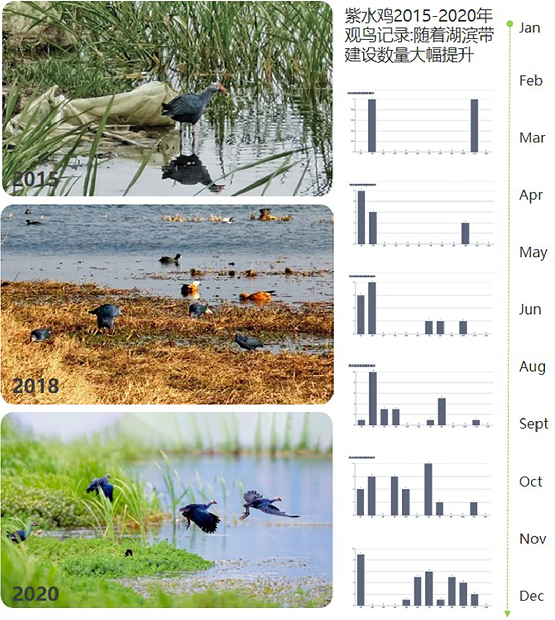 9b2CLySlpw2JOyUxsSMuuUMaBaYVGlxsFJy6KZW1