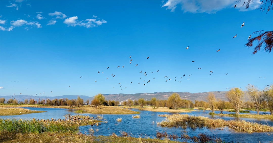 dRVLmjSGXi8br4EWKJRDJtRku9QzpJkipRV8wgH4