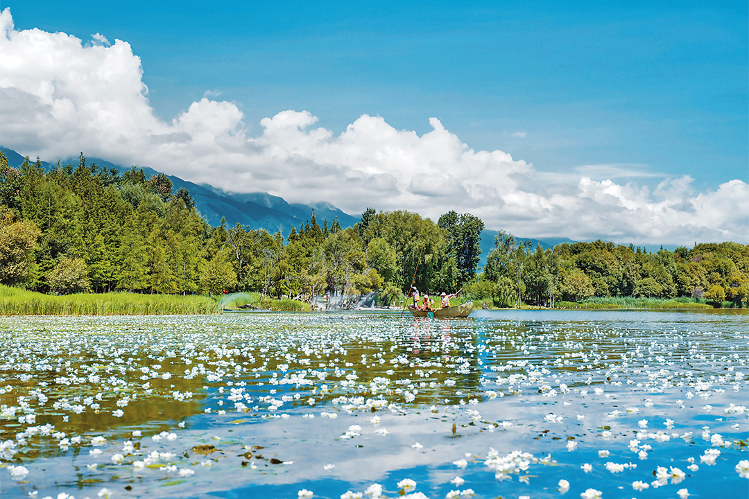 inUzR7KtTnhdsz7Ari4Ql9Z2Qc8u7nV5IOe3KuEf