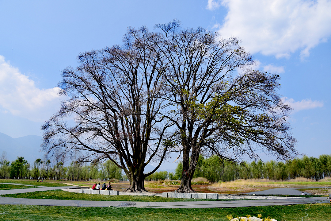 nJ4GrAwcVM94UX1p2GuFgOo1YGSXkPB8o3fi6SVn