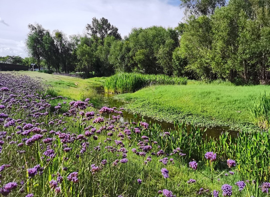 qIf9ZebXqP6w3q8YHiGfdHeRV8pzdvUDShlcpy53