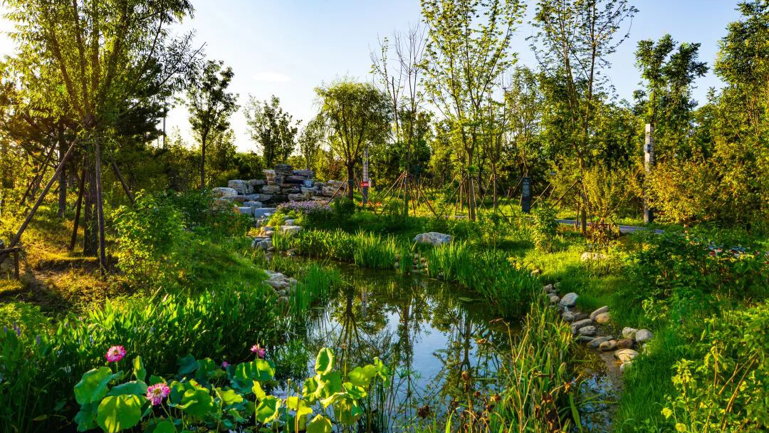 C25D10Zm7NRwPQEDgVW3vRCDVfevAs61mC3Hmmmd