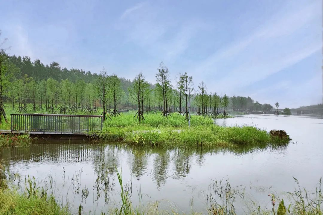 LU5q9u1lyVuKZWZ91CjO0M5r6JVPAf2BDj4zii0M