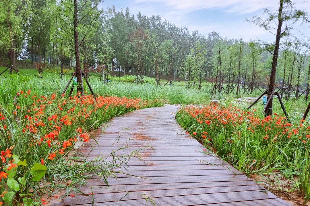 O9fRmYJzjClrNJPpIXoUtiV7nxNE0KOgb7pxtWID