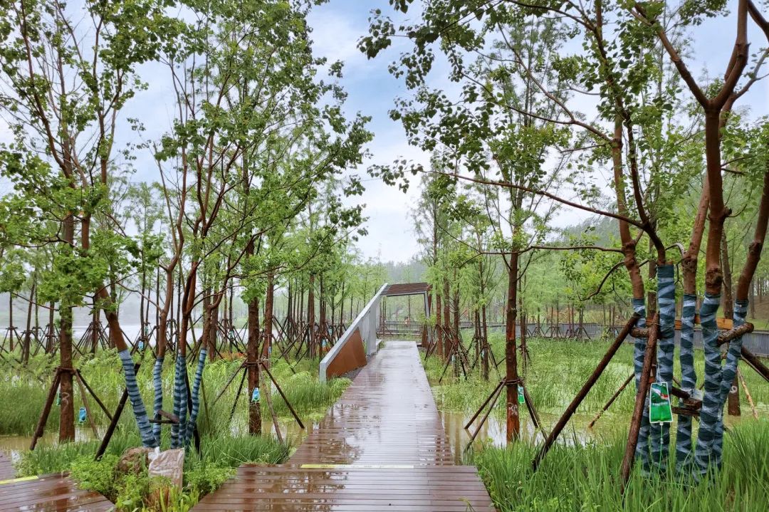 i7HHzAbftziLA9pJiZpJ97Mypa0kCyWo28ZctjDU