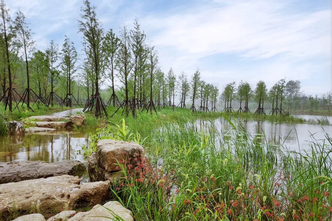 9LGa2KxIyAQ9kCAaTp5WqJUdJyoyNCpsLhHONBK9