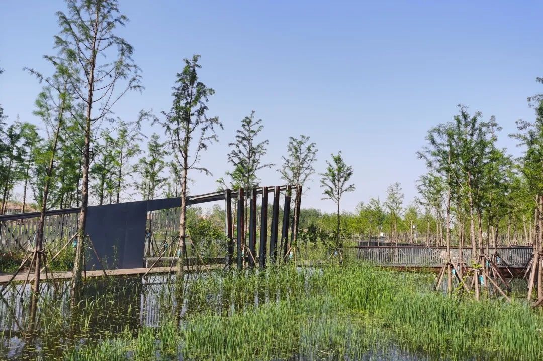 JNzRRlcsNrHLbK78WHskAbN9KpB8kKcXk7hvAayj