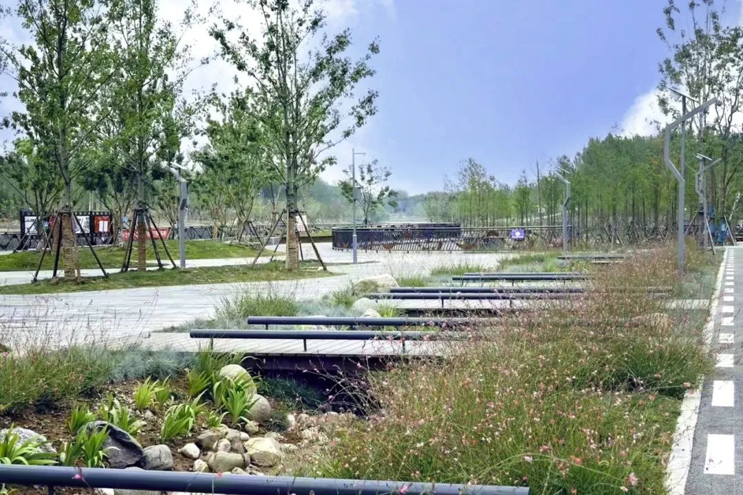 TmVgcSBBXkdGC6BrsXxhvjsEZNAC4gkFw3EHzZpK