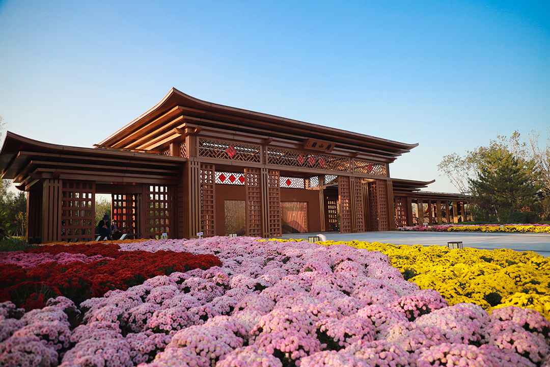 RoWCh5ahrnuIRpBiYttk39srabDEaDwe26yrS4cr