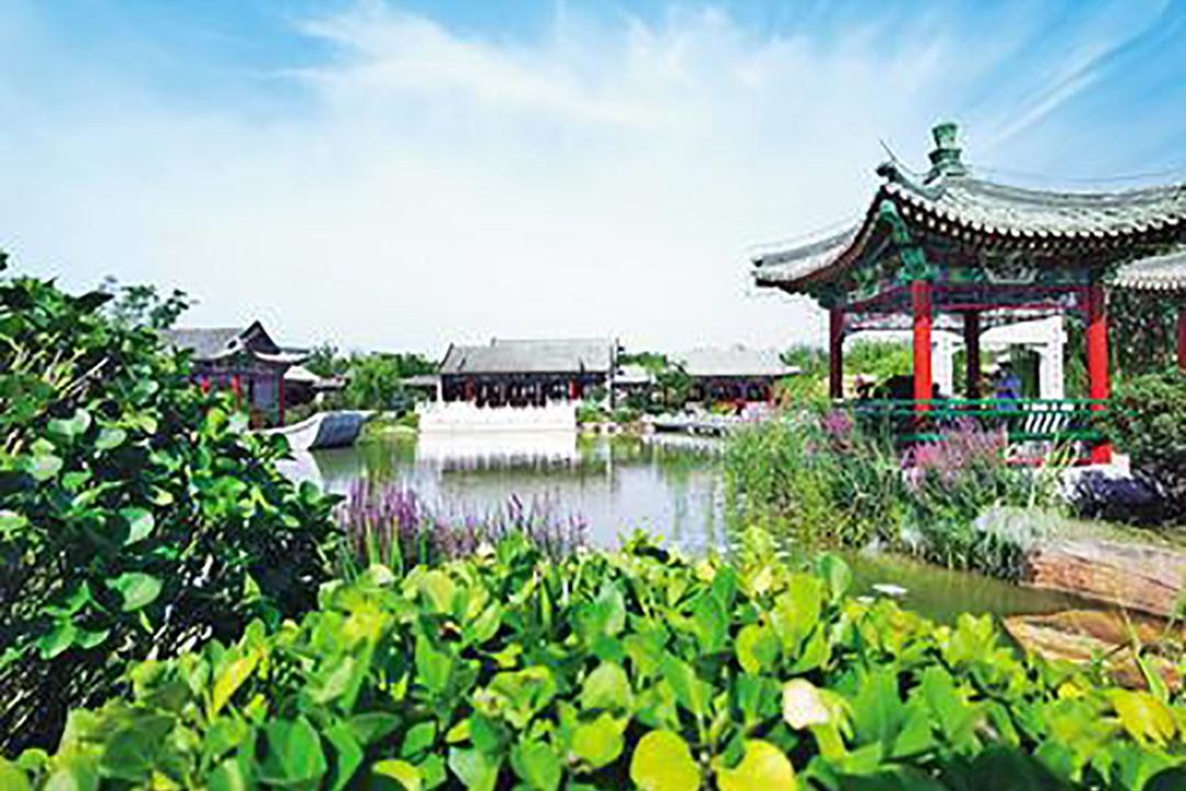 iB3PjylY4syFeWgkfc4oJRlGq1EXiZvvP3eQjuLP