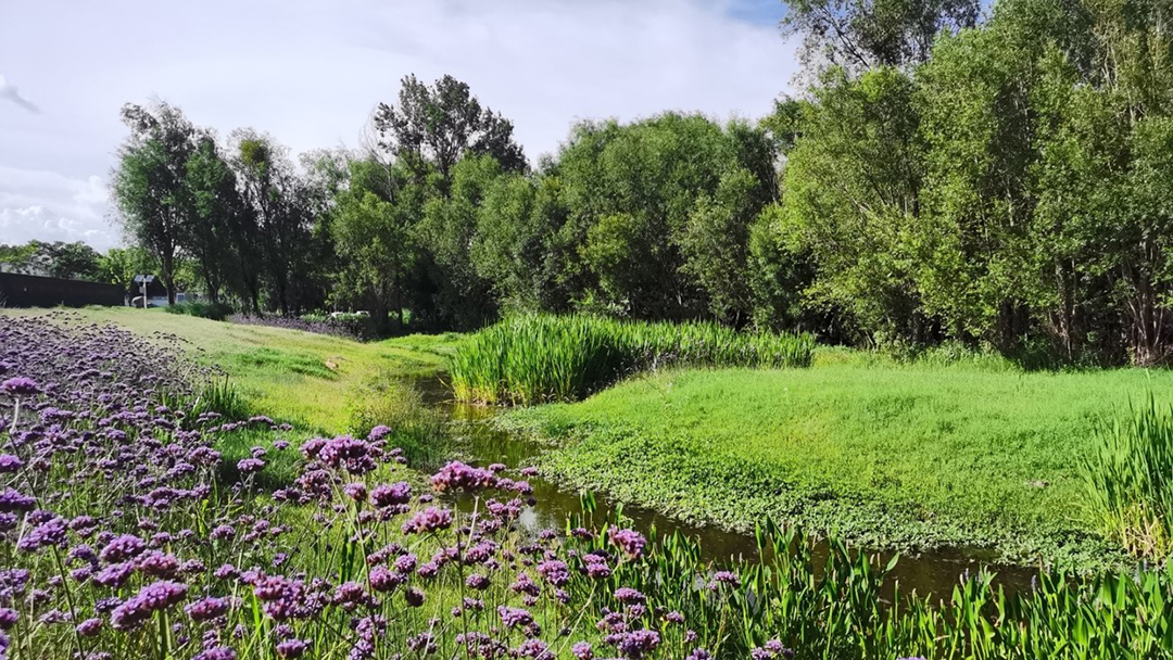 LS5Qa3ksqXgWCSohuIvZGdHDuDbZTFE3tI4xO2v8