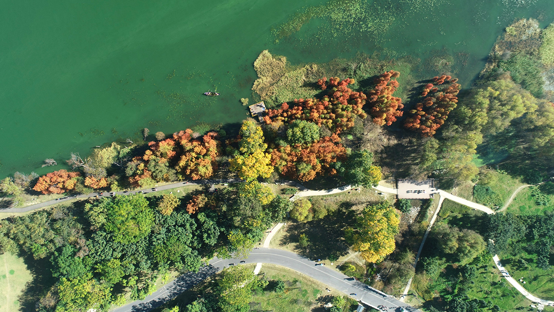 hBnxpI6Ibzlz7xv91OH8OBsgEiReHGlXwPt8OR15