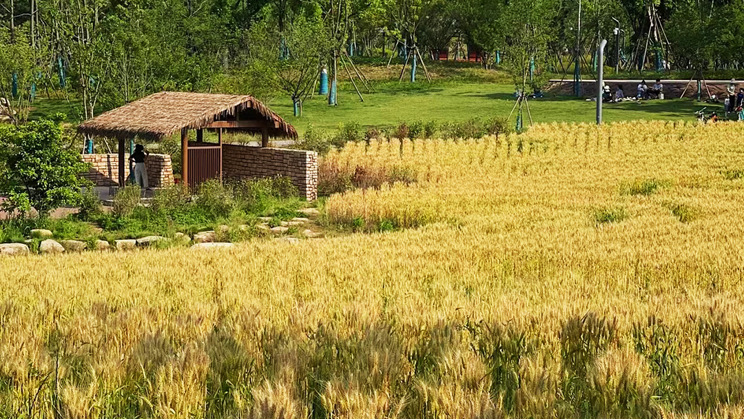 FbtjDsN1q2347o8hGTaI2hQ2ExHskdZGdnlkDTZA