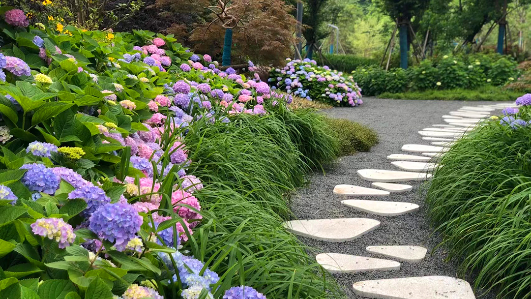 lfU9p3M4CCJg5skw2StKsNAZbqD8Ju8f89Mi7lN7