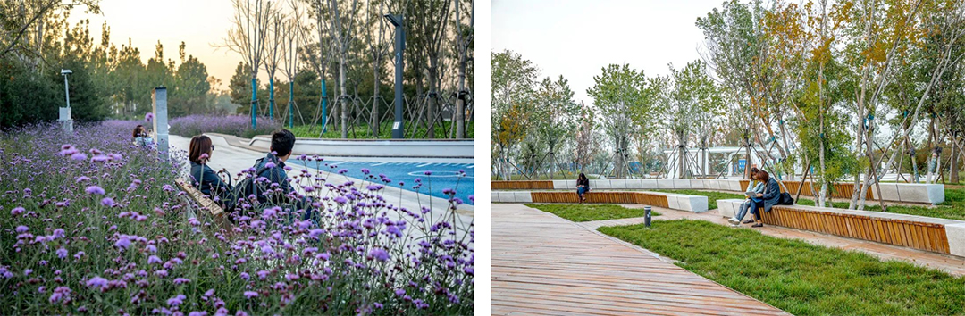 41BQpd8yqh5hCrynB355KxXnZ6ODQWtHdkY9216R