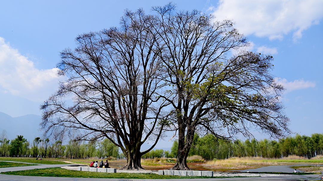 TmfelGddAHxzdZ9vjNsVdcIndAI3qJa50WWL24zx