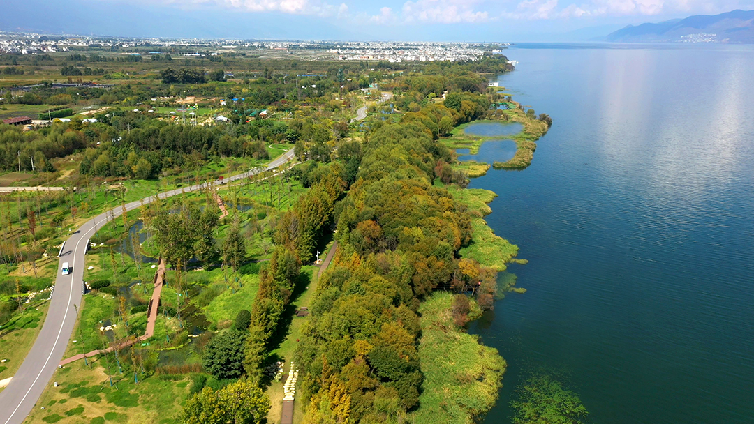 VbzrFOuLMcprRFJK8gBNIjBz8TmYkcZBfSpBd63q