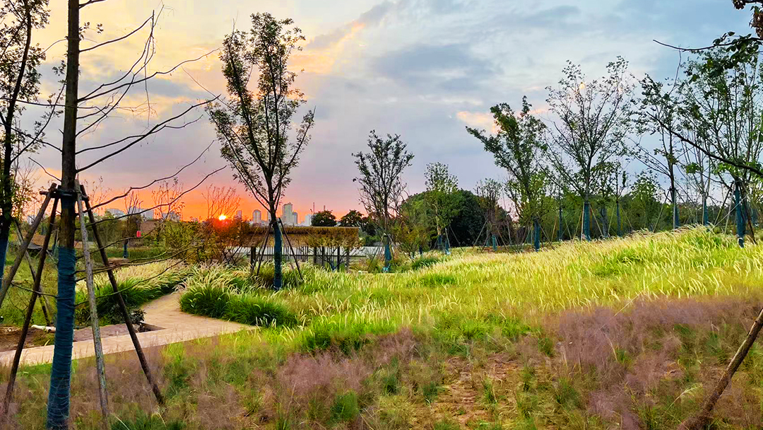 669cHLRAesgO8PESiPoWDII8ME1ZmPsOTF5KSmPo