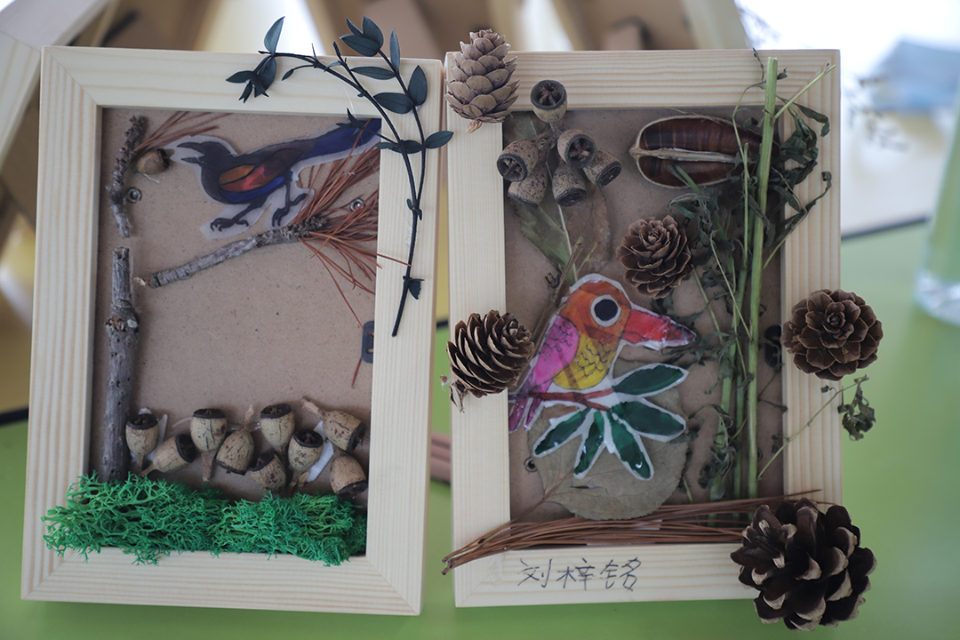 eRc5SMDh8FfR33C5x0SJf1Zx22errJmC2T47PMSe