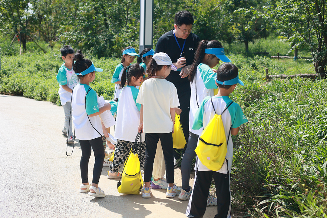 jqcmRkMSjl6eHXVPmW7zDGPRT3KK1Gzp4Yz9ypfe