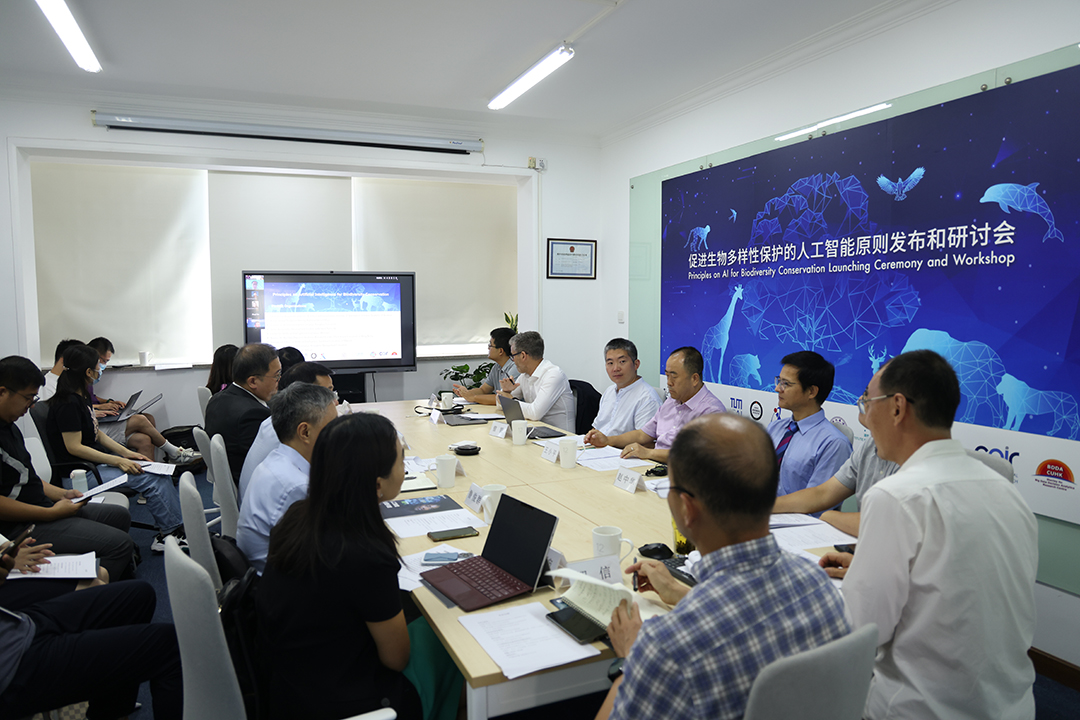 9DxKopV6XAq8KDdQvgZxI0q9tLLBQ7cFAaxTq83z