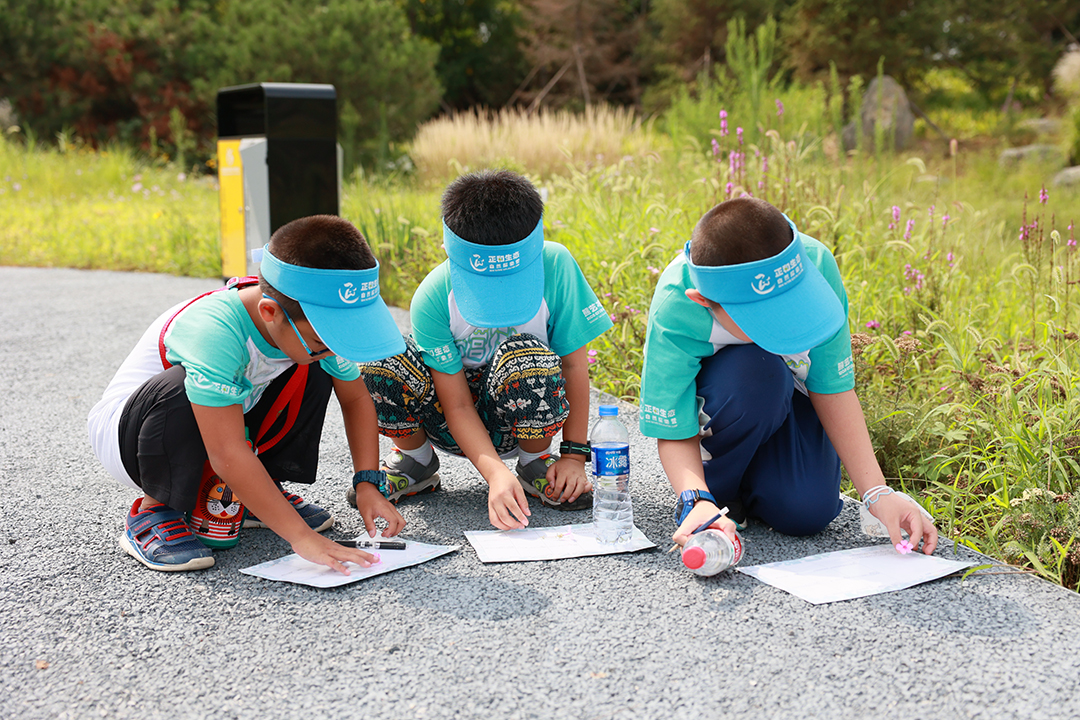 LPnQtAIqZBYIZPH6PtoGWp0kU5dUXxXSrcC4Dh4S