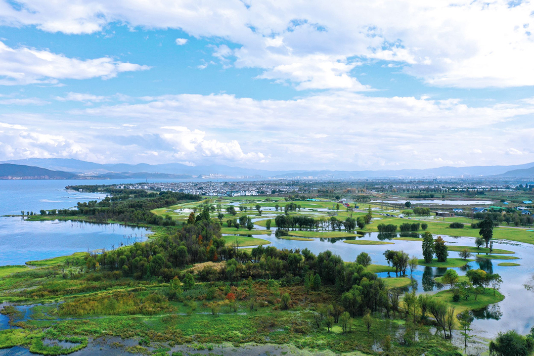 2WXwv43pZM1h8D9qtZA35C8iHWH12D0JX9IWXipd