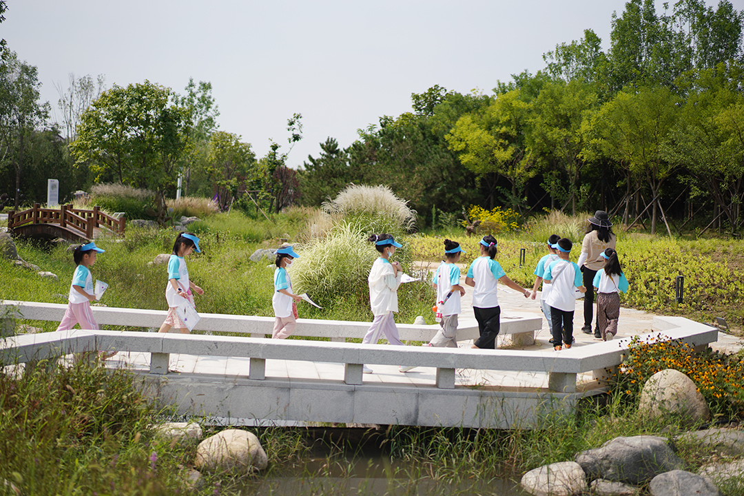 y3rD9YY5448XIRu6H5p4eP00bzjSytNZB4Qm9k9d