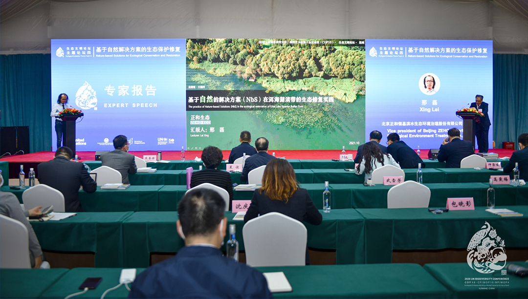 p4nb6bIRUl7sYzB16THskUGydg6gVem8DCg9a6NV